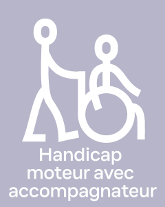 Handicap moteur avec accompagnateur